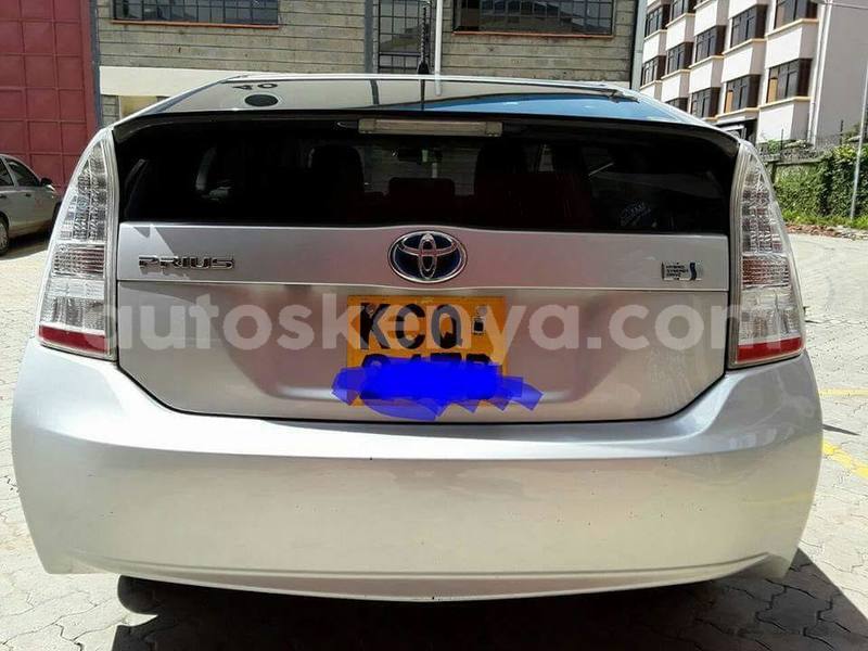 Big with watermark 40219653 2253218671572913 193858232282775552 n