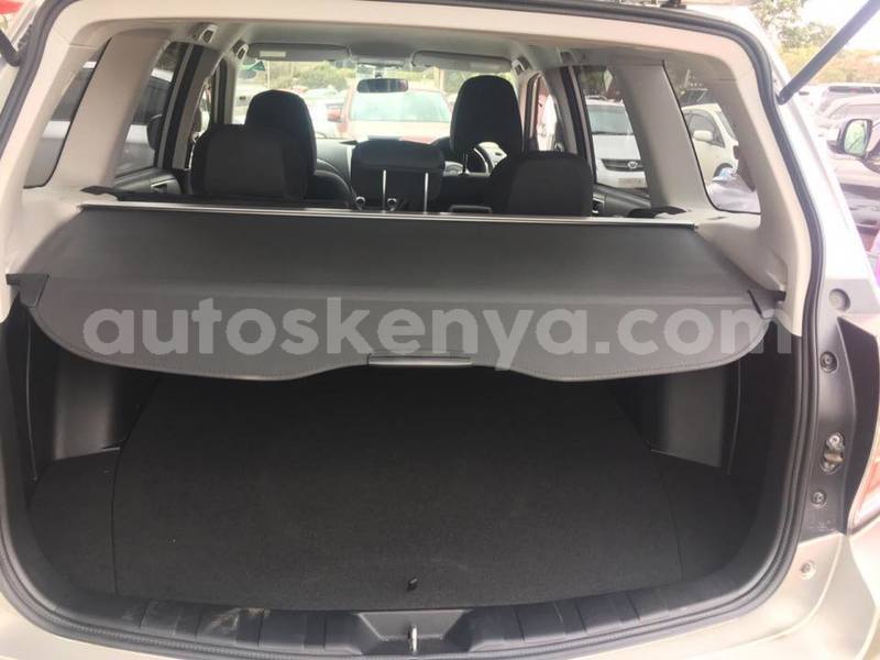 Big with watermark 39569860 2246272942267486 6646550057648652288 n