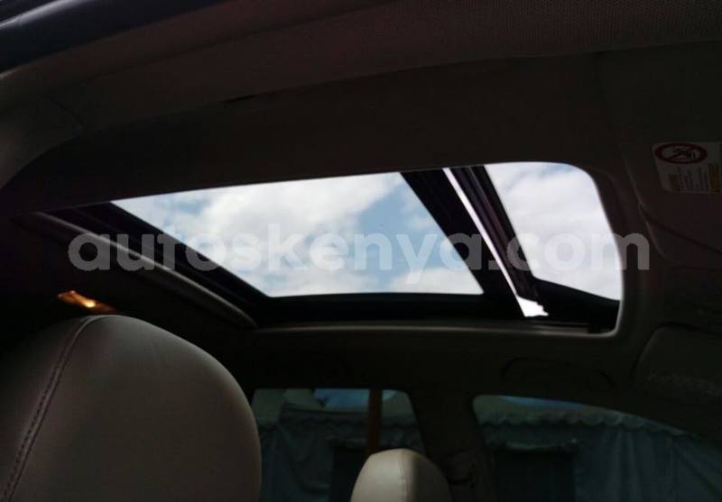 Big with watermark 41809282 2264006263827487 5833432286598529024 n