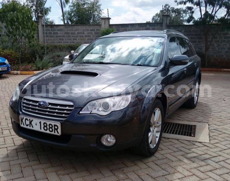 Big with watermark 41871735 2264006227160824 2806458306971828224 n