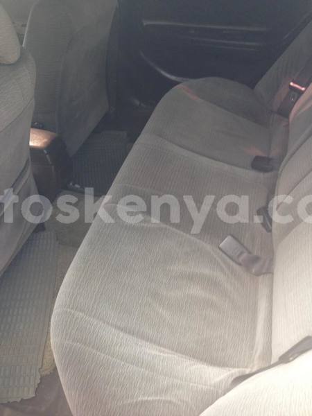 Big with watermark 41752348 2263161927245254 2174912133785976832 n