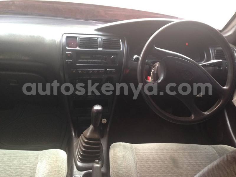 Big with watermark 41729986 2263161997245247 7734609146539933696 n