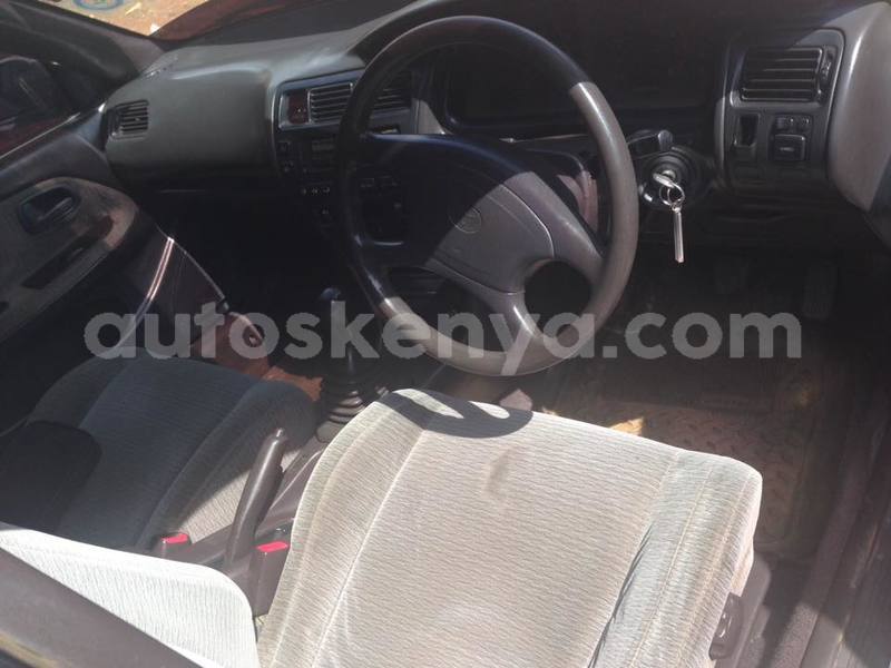 Big with watermark 41897955 2263161880578592 1934160915989528576 n