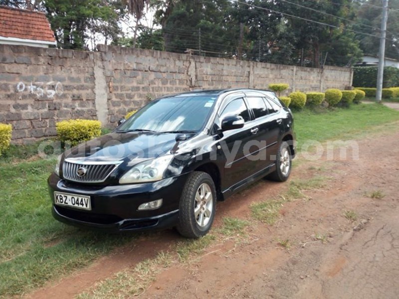 Big with watermark 42119051 10214977458303693 4850406408182562816 o