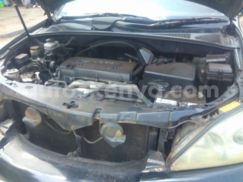 Big with watermark 42044517 10214977453823581 8729023074906669056 o