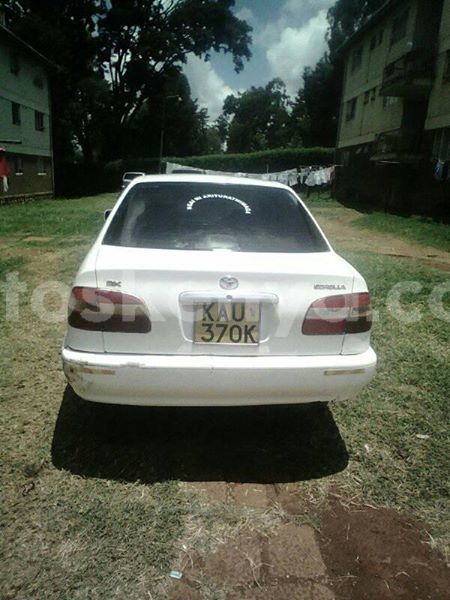 Big with watermark 42044744 105808440386183 7810394127945695232 n