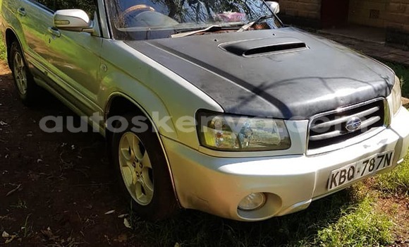 Buy Used Subaru Forester Silver Car in Nairobi in Nairobi Buy Used Subaru Forester Silver Car in Nairobi in Nairobi