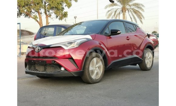 Buy Import Toyota C-HR Red Car in Import - Dubai in Central Kenya Buy Import Toyota C-HR Red Car in Import - Dubai in Central Kenya