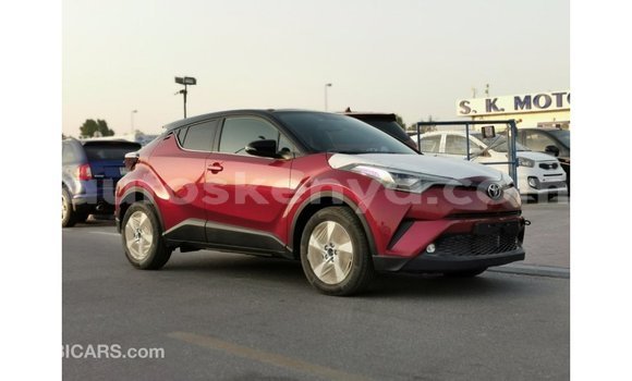 Buy Import Toyota C-HR Red Car in Import - Dubai in Central Kenya Buy Import Toyota C-HR Red Car in Import - Dubai in Central Kenya