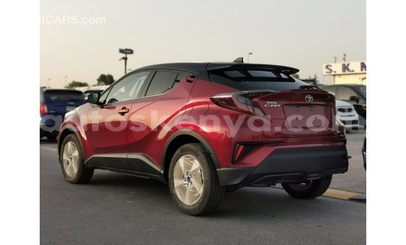 Buy Import Toyota C-HR Red Car in Import - Dubai in Central Kenya Buy Import Toyota C-HR Red Car in Import - Dubai in Central Kenya