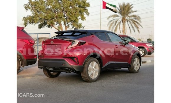 Buy Import Toyota C-HR Red Car in Import - Dubai in Central Kenya Buy Import Toyota C-HR Red Car in Import - Dubai in Central Kenya