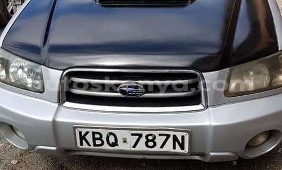 Oofamaa Subaru Forester Silver Makiinaa iti Nairobi keessatti Nairobi keessatti Oofamaa Subaru Forester Silver Makiinaa iti Nairobi keessatti Nairobi keessatti