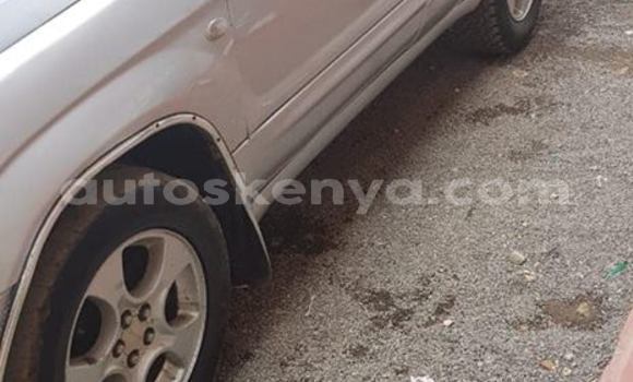 Oofamaa Subaru Forester Silver Makiinaa iti Nairobi keessatti Nairobi keessatti Oofamaa Subaru Forester Silver Makiinaa iti Nairobi keessatti Nairobi keessatti