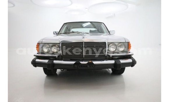 Buy Import Mercedes‒Benz 1117 Other Truck in Import - Dubai in Central Kenya