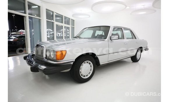 Buy Import Mercedes‒Benz 1117 Other Truck in Import - Dubai in Central Kenya Buy Import Mercedes‒Benz 1117 Other Truck in Import - Dubai in Central Kenya