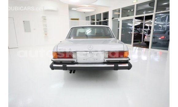 Buy Import Mercedes‒Benz 1117 Other Truck in Import - Dubai in Central Kenya Buy Import Mercedes‒Benz 1117 Other Truck in Import - Dubai in Central Kenya