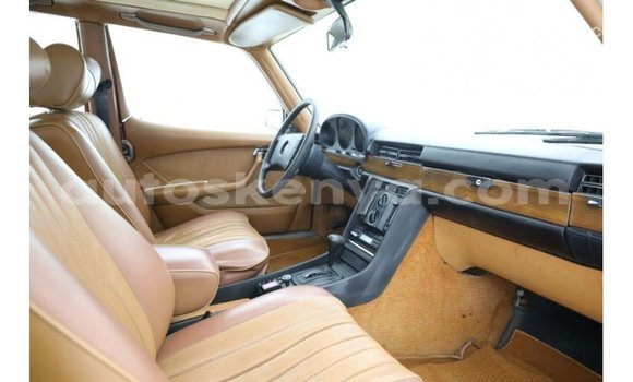 Buy Import Mercedes‒Benz 1117 Other Truck in Import - Dubai in Central Kenya Buy Import Mercedes‒Benz 1117 Other Truck in Import - Dubai in Central Kenya