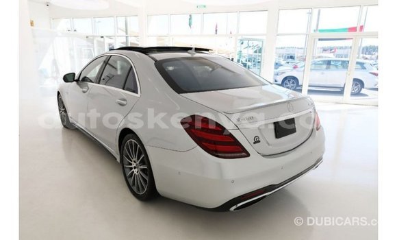 Imported Mercedes‒Benz 1117 Other Netiree iti Import - Dubai keessatti Central Kenya keessatti Imported Mercedes‒Benz 1117 Other Netiree iti Import - Dubai keessatti Central Kenya keessatti