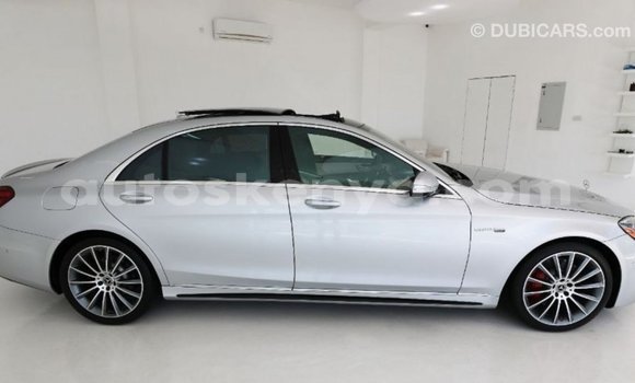 Imported Mercedes‒Benz 1117 Other Netiree iti Import - Dubai keessatti Central Kenya keessatti Imported Mercedes‒Benz 1117 Other Netiree iti Import - Dubai keessatti Central Kenya keessatti