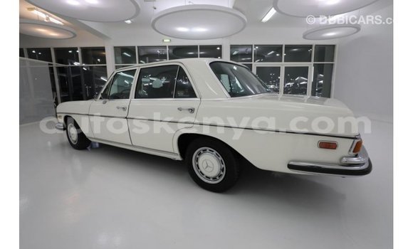 Buy Import Mercedes‒Benz 1117 Beige Truck in Import - Dubai in Central Kenya Buy Import Mercedes‒Benz 1117 Beige Truck in Import - Dubai in Central Kenya
