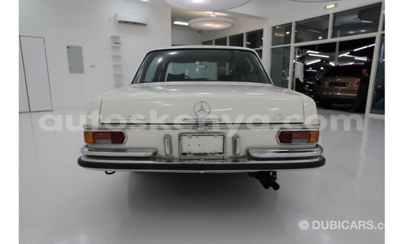 Buy Import Mercedes‒Benz 1117 Beige Truck in Import - Dubai in Central Kenya Buy Import Mercedes‒Benz 1117 Beige Truck in Import - Dubai in Central Kenya