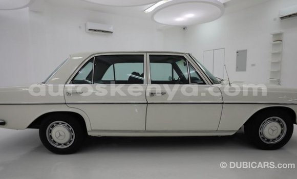 Buy Import Mercedes‒Benz 1117 Beige Truck in Import - Dubai in Central Kenya Buy Import Mercedes‒Benz 1117 Beige Truck in Import - Dubai in Central Kenya