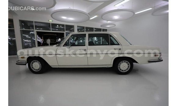 Buy Import Mercedes‒Benz 1117 Beige Truck in Import - Dubai in Central Kenya Buy Import Mercedes‒Benz 1117 Beige Truck in Import - Dubai in Central Kenya