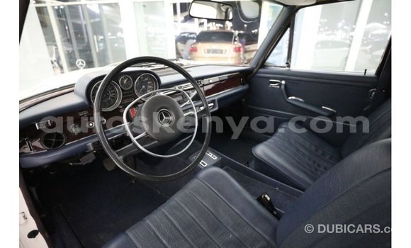 Buy Import Mercedes‒Benz 1117 Beige Truck in Import - Dubai in Central Kenya Buy Import Mercedes‒Benz 1117 Beige Truck in Import - Dubai in Central Kenya