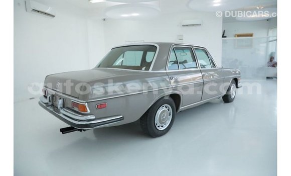 Buy Import Mercedes‒Benz 1117 Brown Truck in Import - Dubai in Central Kenya Buy Import Mercedes‒Benz 1117 Brown Truck in Import - Dubai in Central Kenya