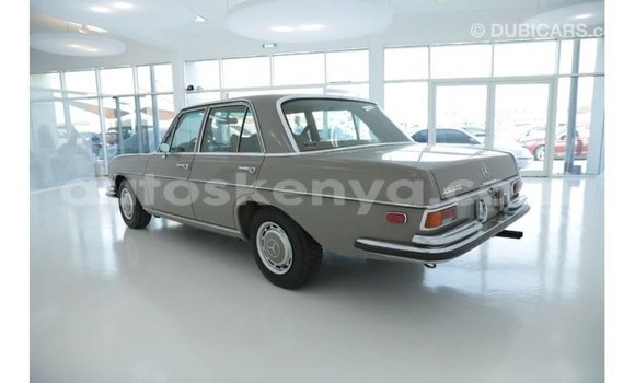 Buy Import Mercedes‒Benz 1117 Brown Truck in Import - Dubai in Central Kenya Buy Import Mercedes‒Benz 1117 Brown Truck in Import - Dubai in Central Kenya