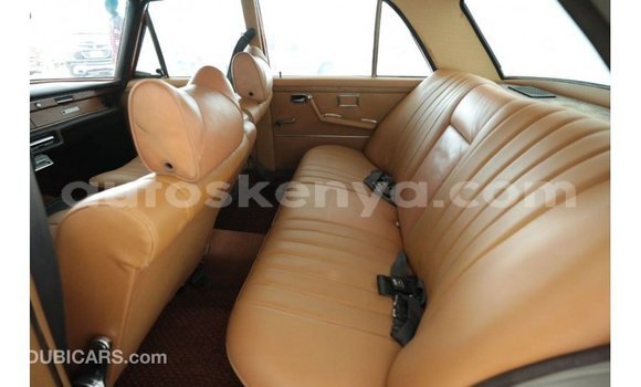 Buy Import Mercedes‒Benz 1117 Brown Truck in Import - Dubai in Central Kenya Buy Import Mercedes‒Benz 1117 Brown Truck in Import - Dubai in Central Kenya