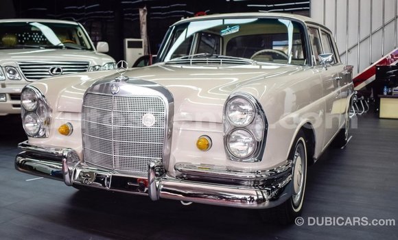 Nunua Imported Mercedes‒Benz 230 Nyeupe Gari ndani ya Import - Dubai nchini Kati Kenya Nunua Imported Mercedes‒Benz 230 Nyeupe Gari ndani ya Import - Dubai nchini Kati Kenya