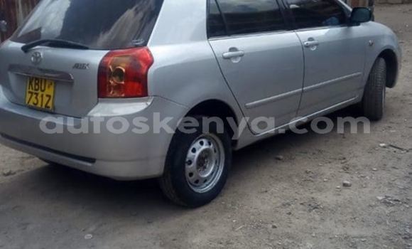 Nunua Ilio tumika Toyota Allex Fedha Gari ndani ya Nairobi nchini Nairobi Nunua Ilio tumika Toyota Allex Fedha Gari ndani ya Nairobi nchini Nairobi