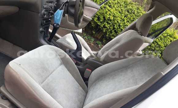 Buy Used Nissan Sunny White Car in Nairobi in Nairobi Buy Used Nissan Sunny White Car in Nairobi in Nairobi