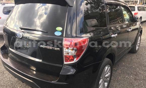 Buy Used Subaru Forester Black Car in Nairobi in Nairobi Buy Used Subaru Forester Black Car in Nairobi in Nairobi