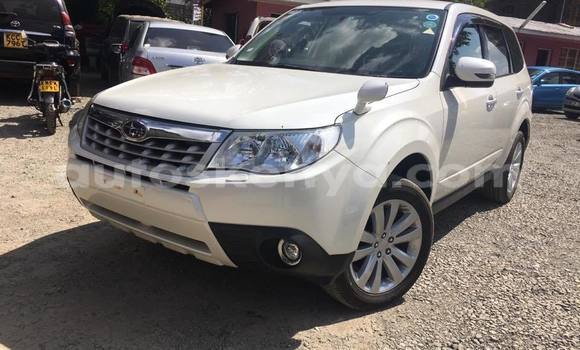 Buy Used Subaru Forester White Car in Nairobi in Nairobi Buy Used Subaru Forester White Car in Nairobi in Nairobi