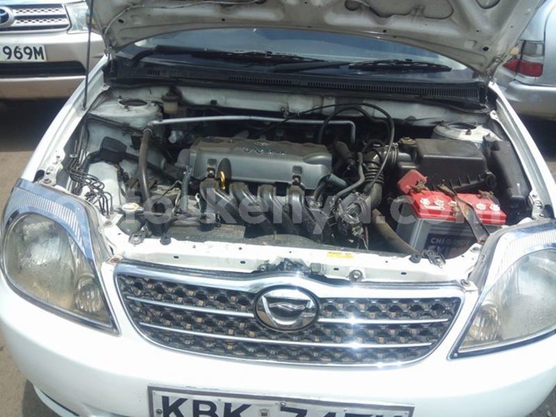 Big with watermark 43683393 10215132326535302 4829231261635575808 o