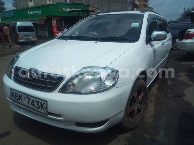 Big with watermark 43597900 10215132319375123 6488457121846263808 o