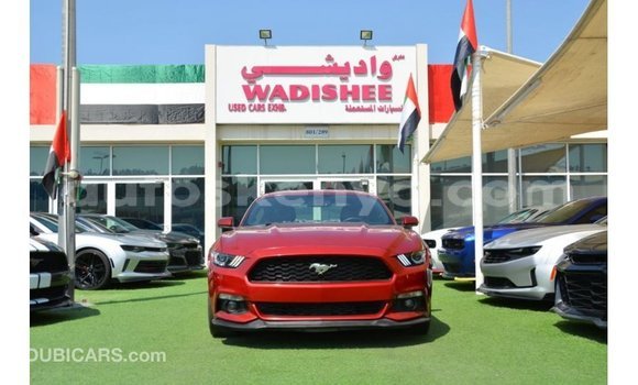 Nunua Imported Ford Mustang Nyekundu Gari ndani ya Import - Dubai nchini Kati Kenya Nunua Imported Ford Mustang Nyekundu Gari ndani ya Import - Dubai nchini Kati Kenya