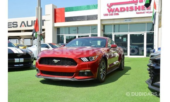 Nunua Imported Ford Mustang Nyekundu Gari ndani ya Import - Dubai nchini Kati Kenya Nunua Imported Ford Mustang Nyekundu Gari ndani ya Import - Dubai nchini Kati Kenya