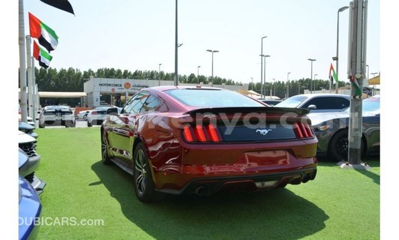 Nunua Imported Ford Mustang Nyekundu Gari ndani ya Import - Dubai nchini Kati Kenya Nunua Imported Ford Mustang Nyekundu Gari ndani ya Import - Dubai nchini Kati Kenya