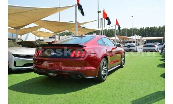 Nunua Imported Ford Mustang Nyekundu Gari ndani ya Import - Dubai nchini Kati Kenya Nunua Imported Ford Mustang Nyekundu Gari ndani ya Import - Dubai nchini Kati Kenya