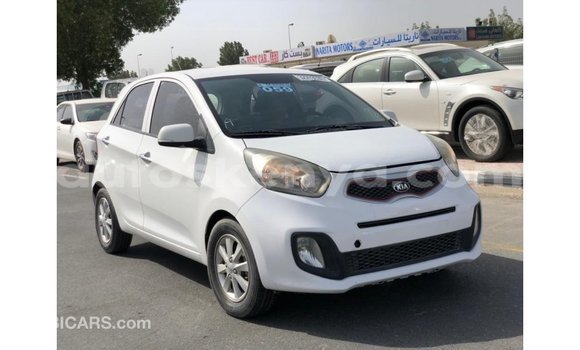 Imported Kia Picanto White Makiinaa iti Import - Dubai keessatti Central Kenya keessatti Imported Kia Picanto White Makiinaa iti Import - Dubai keessatti Central Kenya keessatti