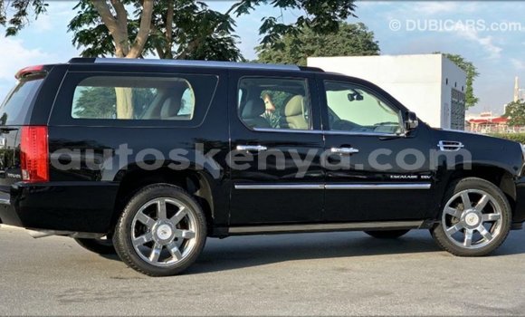 Imported Cadillac Escalade Black Makiinaa iti Import - Dubai keessatti Central Kenya keessatti Imported Cadillac Escalade Black Makiinaa iti Import - Dubai keessatti Central Kenya keessatti