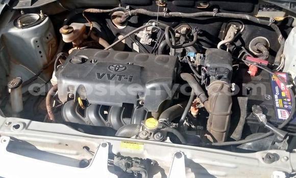 Oofamaa Toyota Succeed White Makiinaa iti Nairobi keessatti Nairobi keessatti Oofamaa Toyota Succeed White Makiinaa iti Nairobi keessatti Nairobi keessatti