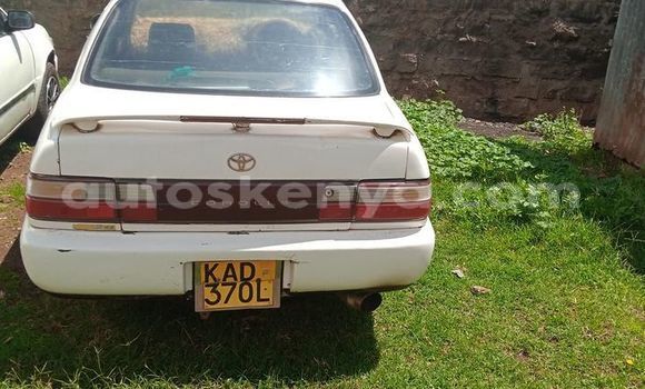 Buy Used Toyota Corolla White Car in Nairobi in Nairobi
