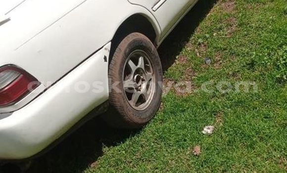 Oofamaa Toyota Corolla White Makiinaa iti Nairobi keessatti Nairobi keessatti Oofamaa Toyota Corolla White Makiinaa iti Nairobi keessatti Nairobi keessatti