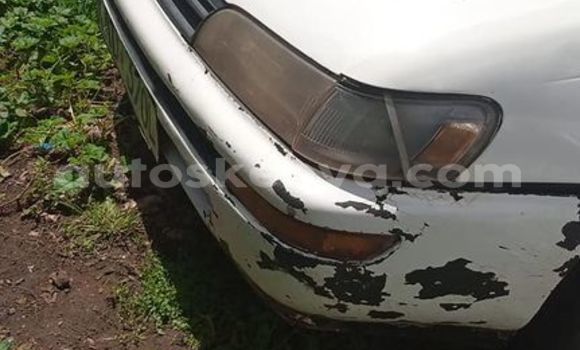 Oofamaa Toyota Corolla White Makiinaa iti Nairobi keessatti Nairobi keessatti Oofamaa Toyota Corolla White Makiinaa iti Nairobi keessatti Nairobi keessatti