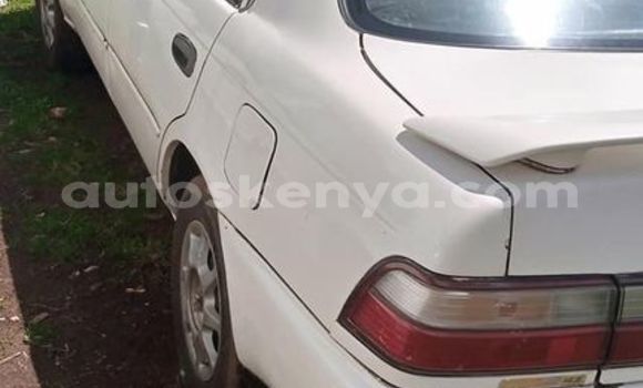 Oofamaa Toyota Corolla White Makiinaa iti Nairobi keessatti Nairobi keessatti Oofamaa Toyota Corolla White Makiinaa iti Nairobi keessatti Nairobi keessatti