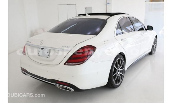 Imported Mercedes‒Benz 1117 White Netiree iti Import - Dubai keessatti Central Kenya keessatti Imported Mercedes‒Benz 1117 White Netiree iti Import - Dubai keessatti Central Kenya keessatti